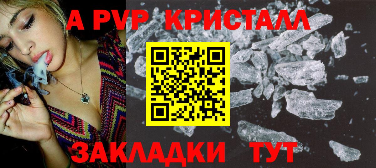 Alfa_PVP СК КРИС Чайковский