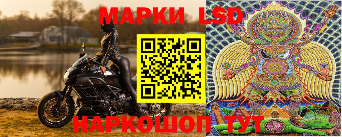 Чайковский  Наркотические марки 1500мкг  Вход с VPN 