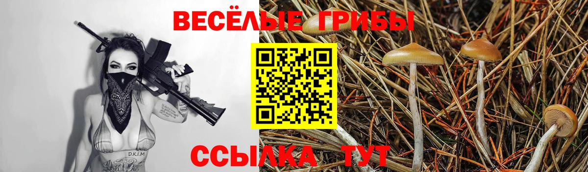 Галлюциногенные грибы Cubensis  Вход с VPN  Чайковский 