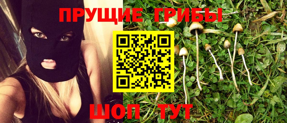 Псилоцибиновые грибы Psilocybe Чайковский